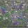 Urban Greenways, Greenlanes & Cycle-Scooter Highways for Birmingham